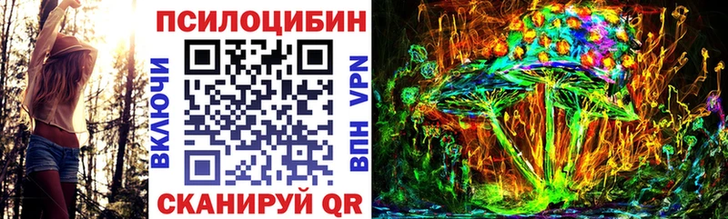Купить где  Буйнакск  Псилоцибиновые грибы мицелий 